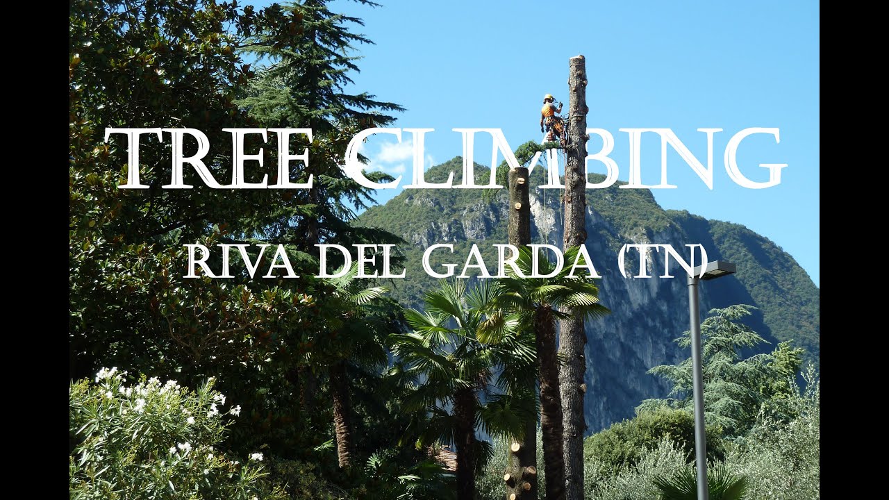 Tree climbing in Via Roma - Riva del Garda - Lavori in fune s.n.c. - GoPro Hero Session