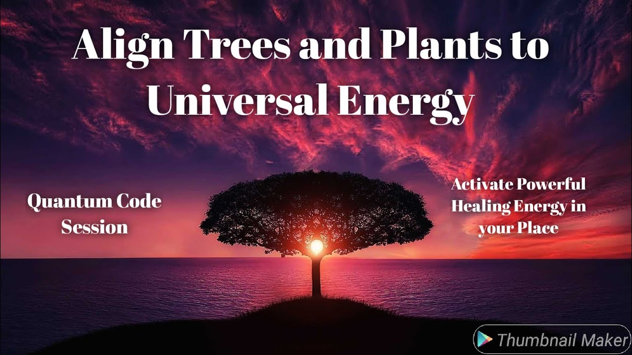 Tree Alignment to activate Powerful healing energies in Environment