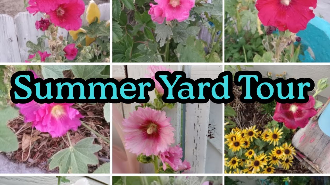 Summer Yard Tour