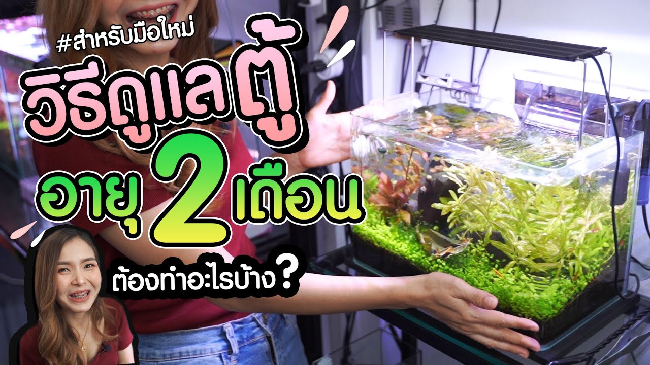 วิธีดูแลตู้ไม้น้ำ ทำความสะอาดยังไง ต้องทำอะไรบ้าง สำหรับมือใหม่ | MarangMod Channel