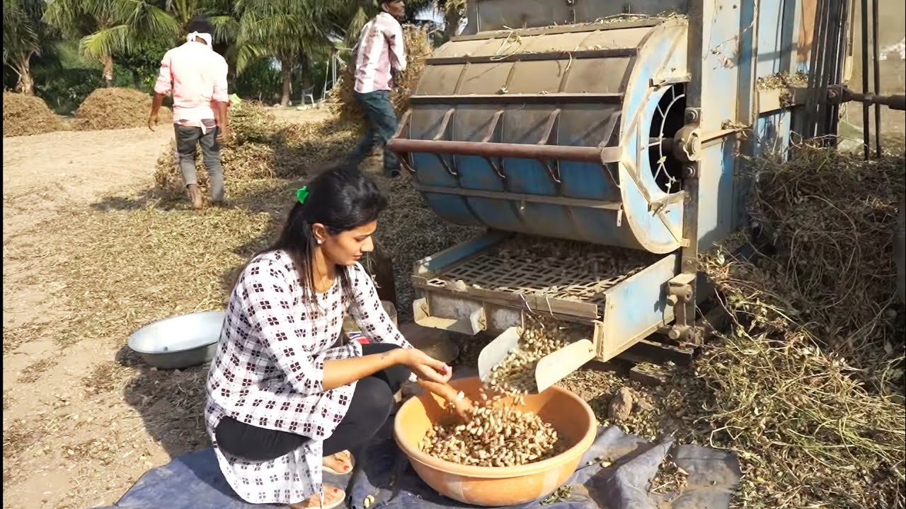 mungfali thresher machine...dekho ajj mungfali ka kam hua..