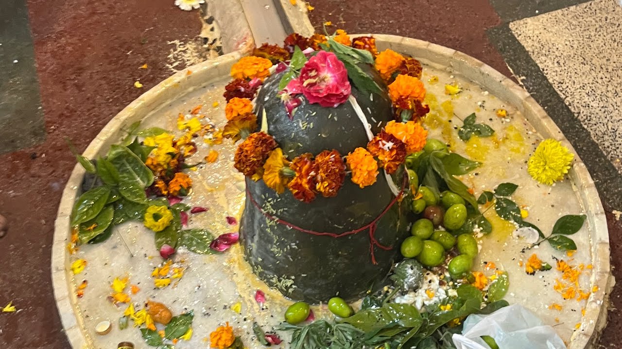 Maha shivratri celebration 2026 pind chhat mohali punjab prachin shiv mandir har har mahadev