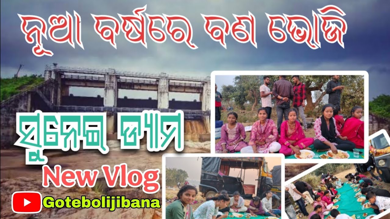 New Year ରେ ଭୋଜି |Sunei Dam|Mayurbhanj |Odia Vlog |Kaptipada|Udala|