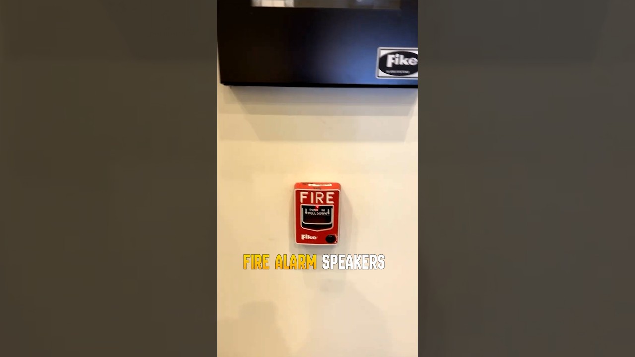 Where Are Speakers with Flashers Required? MMJ Security & Safety | UAE