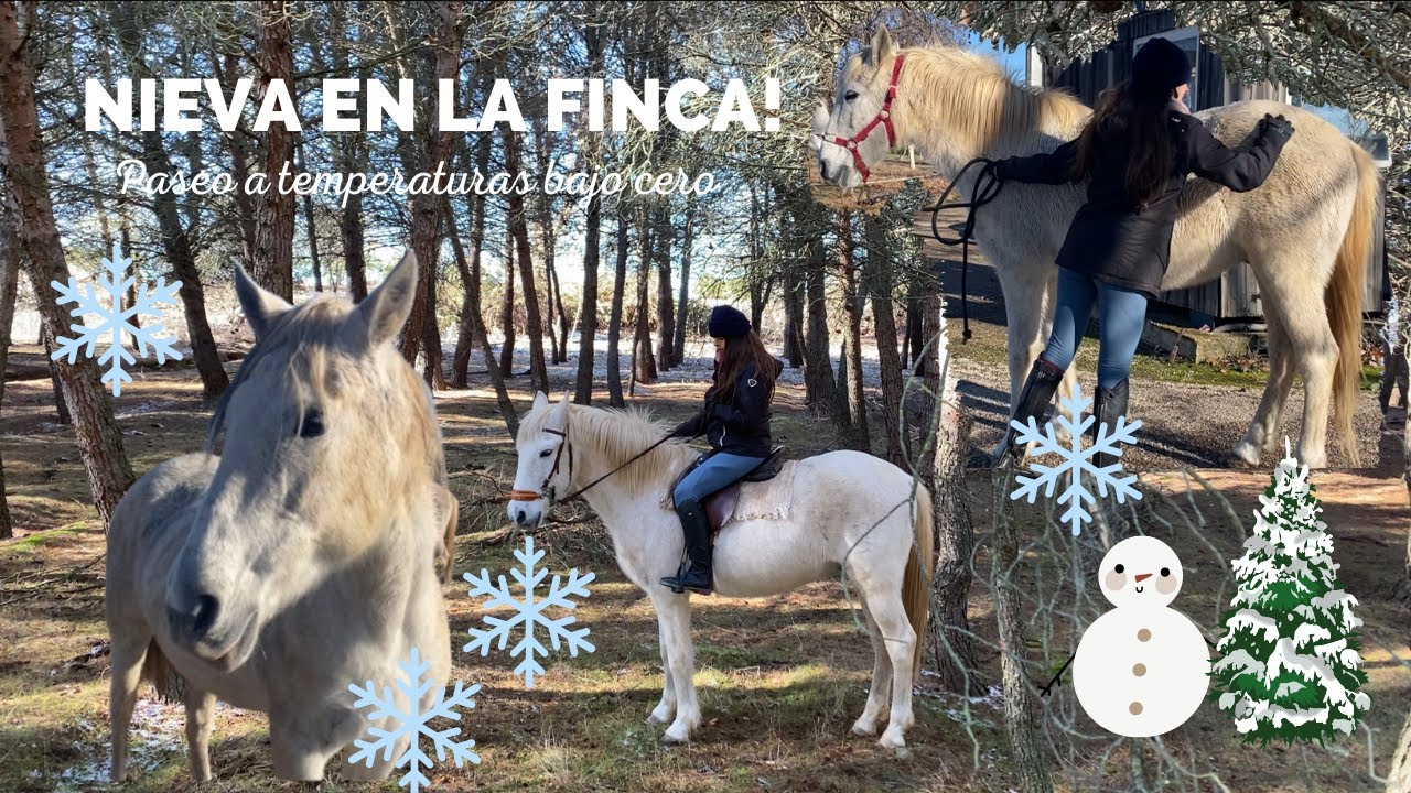 NIEVA en la FINCA! Paseo HELADOR con los CABALLOS