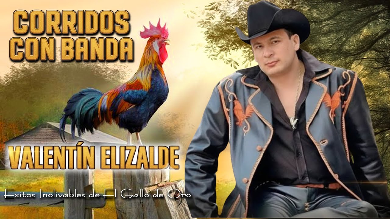 🎤 Corridos con Banda 💥 | El Gallo de Oro, Valentín Elizalde en su Mejor Época