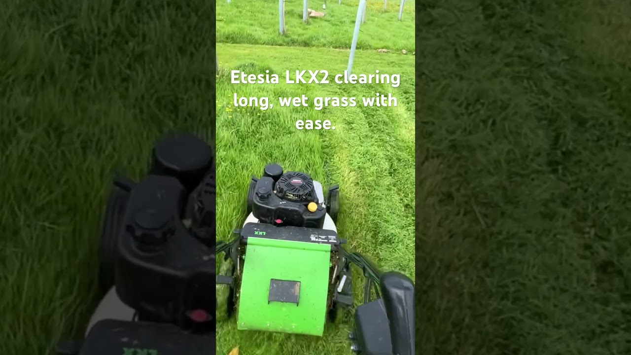 Etesia LKX2 clearing long grass with ease. #lawnmowing #lawnmower #etesia #grass #lawn #lawncare