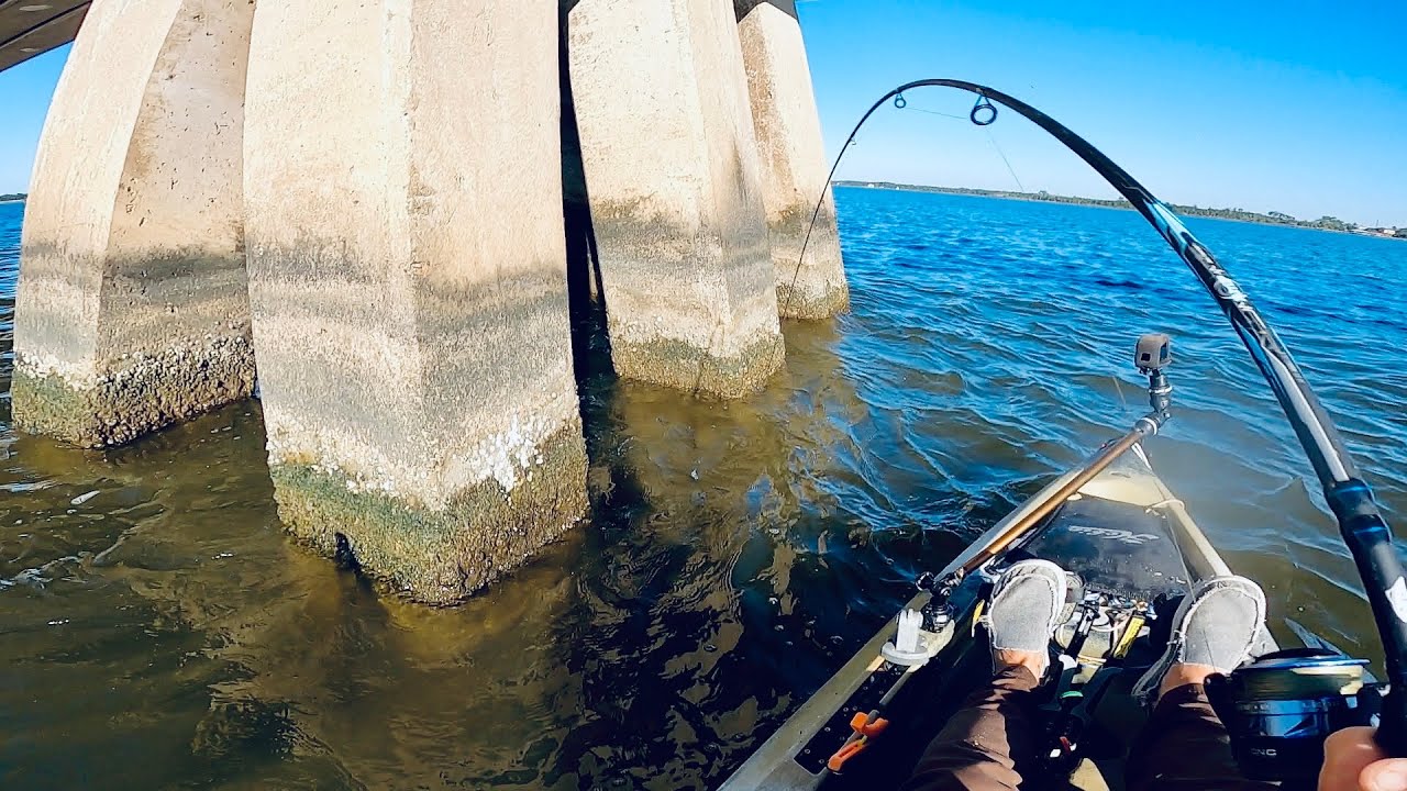 Используйте ЭТОТ МЕТОД, чтобы поймать овечью голову! #овечьяголова #коричневоводныйбантер