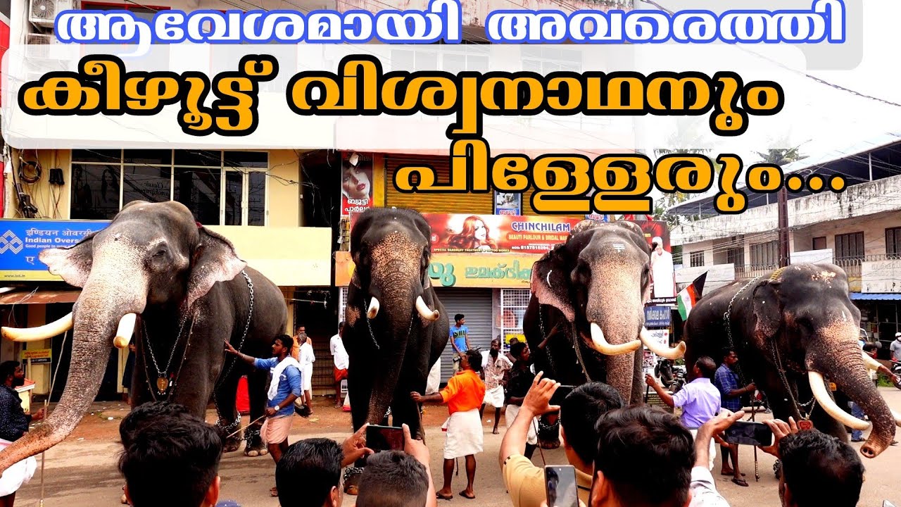 നാടിന് ആവേശമായി കരിവീരന്മാർ അണിനിരന്നപ്പോൾ.||ആനയൂട്ട്|| ഗജ പൂജ||AASAANZ VLOG