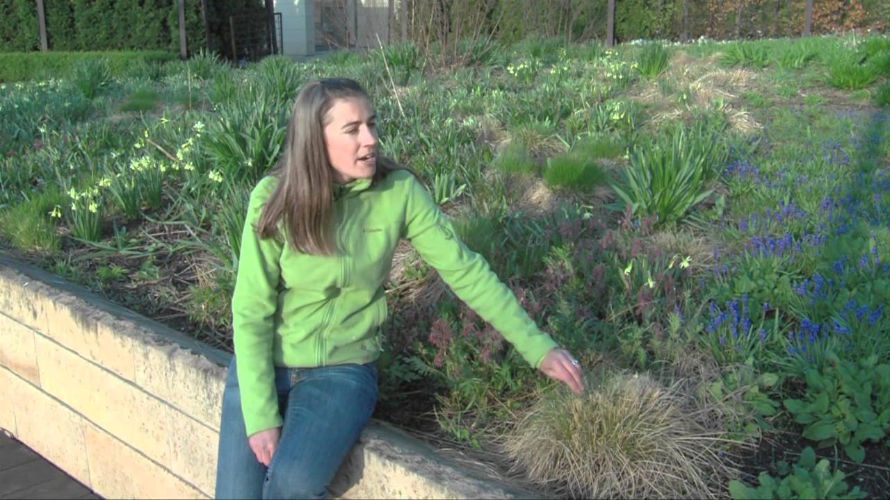 Lurie Gardens Part 2