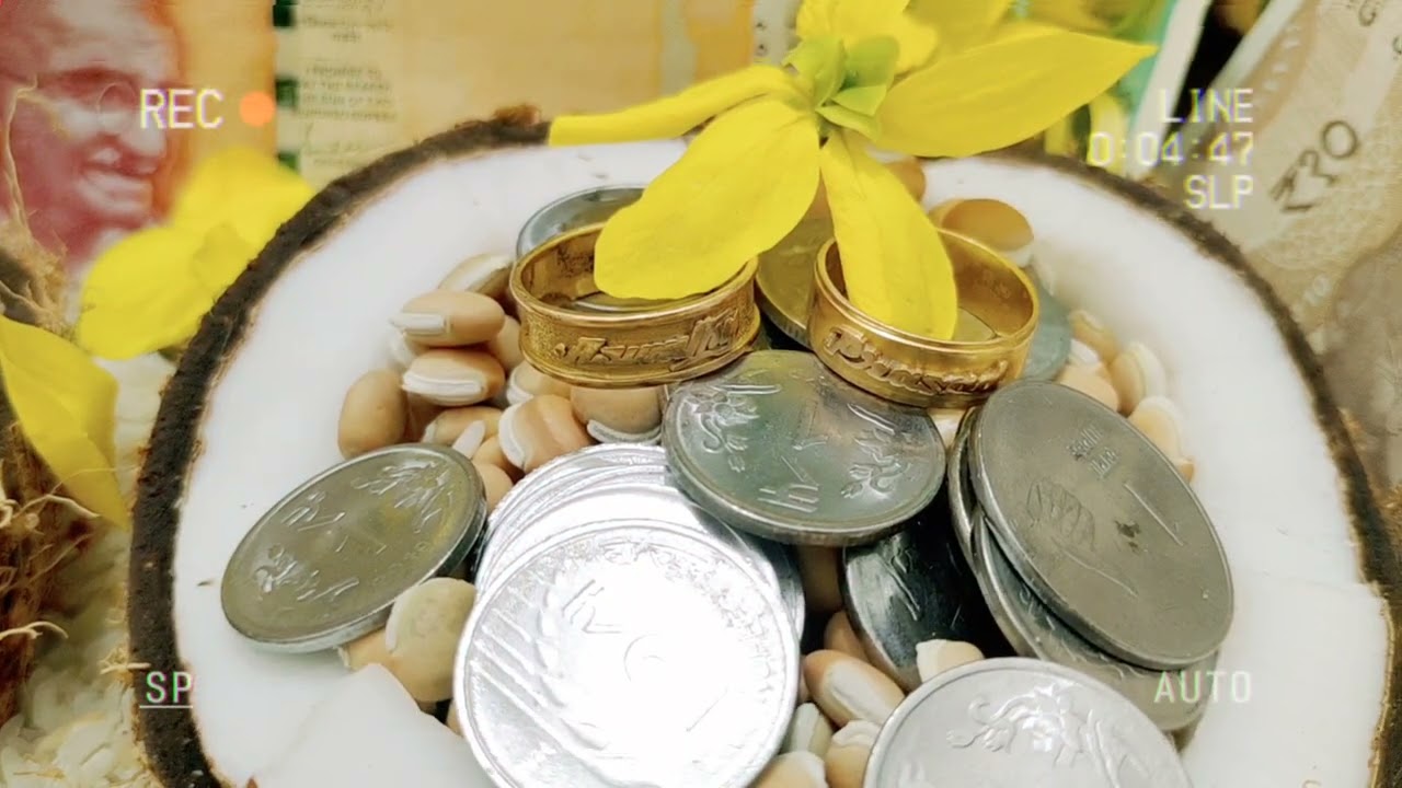 #vishu #vishu2025