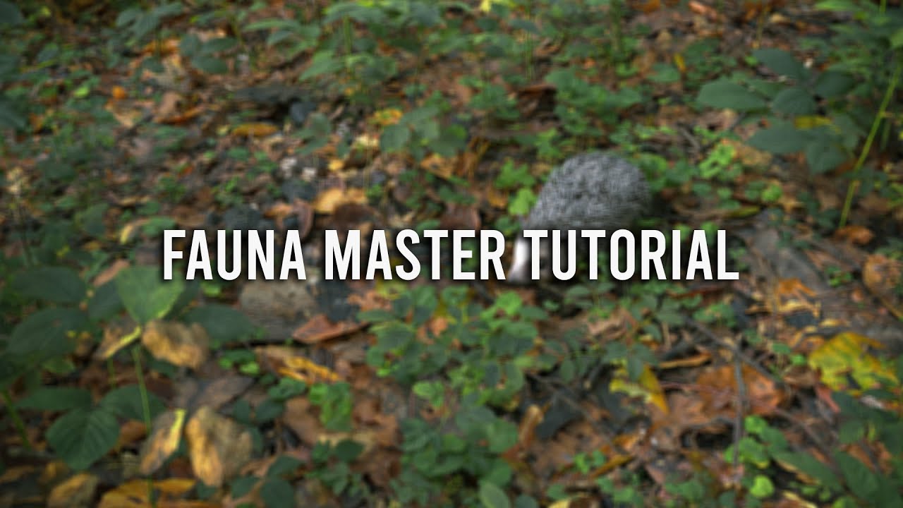 Fauna Master Basic Tutorial