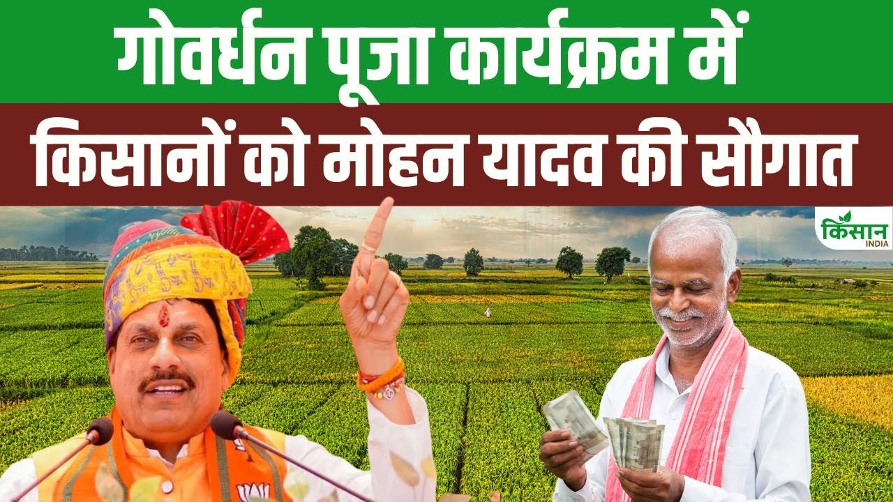 CM Mohan Yadav Live: गोवर्धन पूजा कार्यक्रम में किसानों को मोहन यादव की सौगात