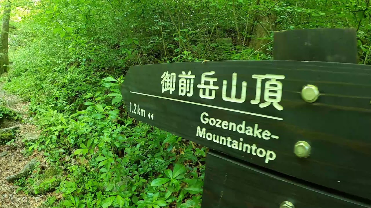 前津江町シオジの原生林から御前岳の湧き水まで
