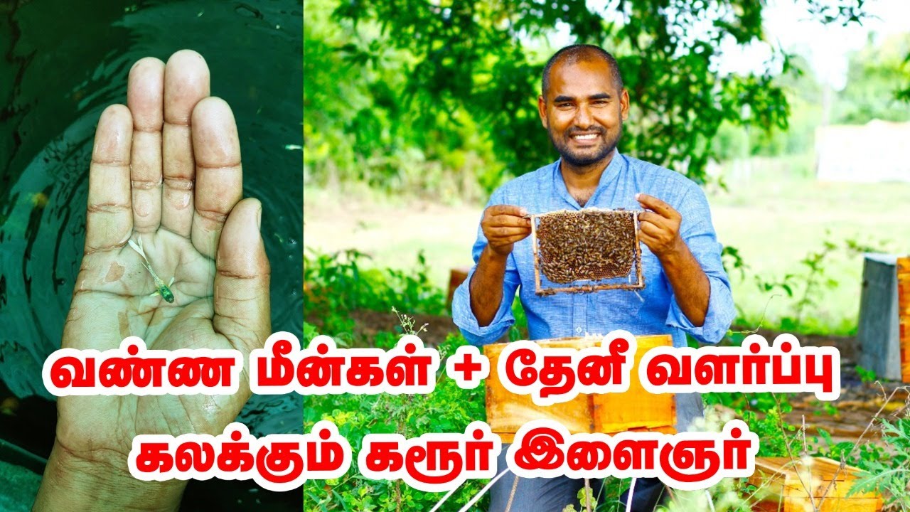 தேனீ வளர்ப்பு + வண்ண மீன்கள் வளர்ப்பு...  மாதம் ரூ.80,000 ! Honey Bee Farming | colour fish