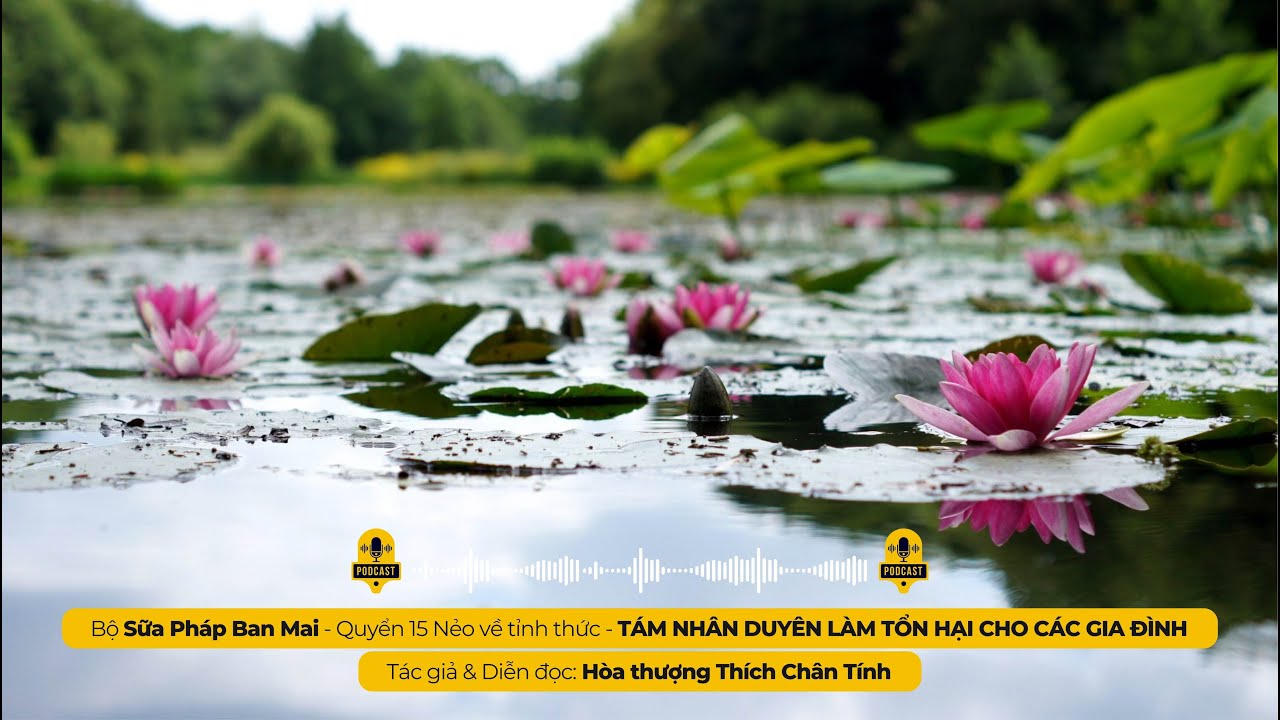 TÁM NHÂN DUYÊN LÀM TỔN HẠI CHO CÁC GIA ĐÌNH I Tác giả & Diễn đọc - Hòa thượng THÍCH CHÂN TÍNH