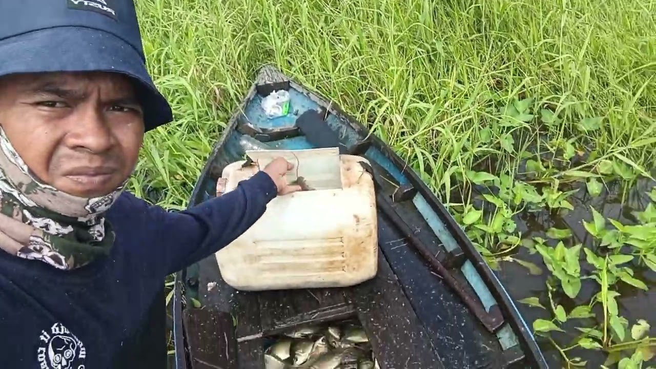 Panen ikan singkek/tebakang hampir 1 TON... Alhamdulillah berkah air banjir...