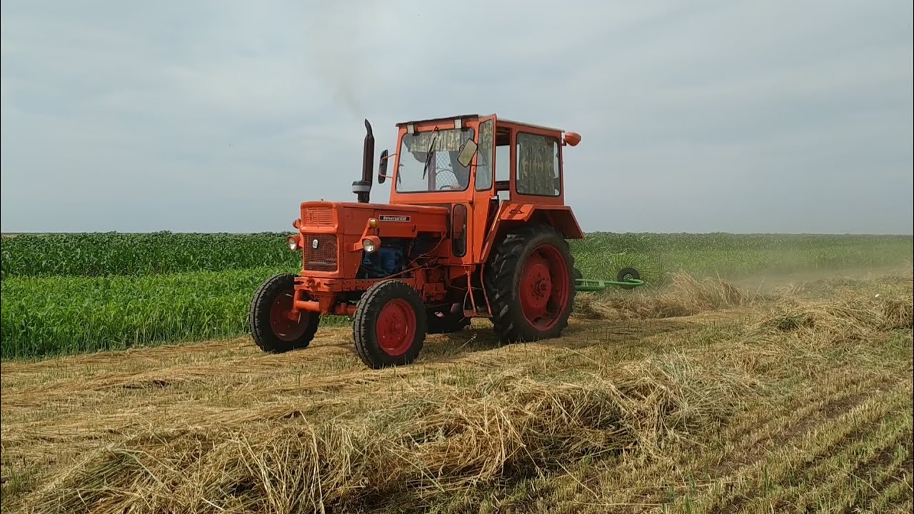 Я убирал овес с помощью граблей AGROLEAD с 4 лезвиями и UTB 650!
