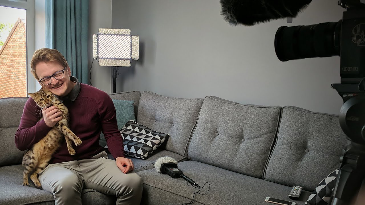 We Filmed A Very Serious Documentary About My Cats
