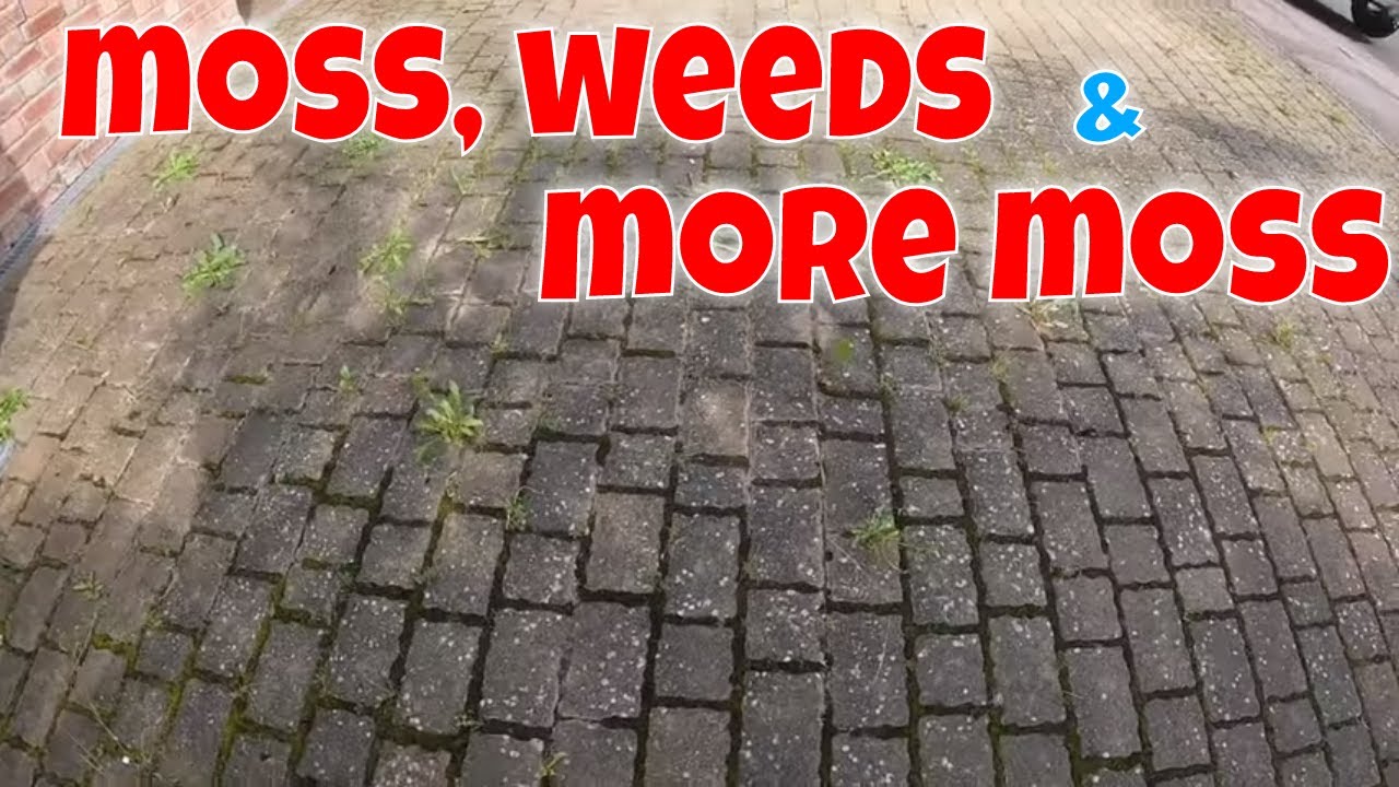 FILTHY, WEEDY, MOSS FILLED Driveway Gets The 