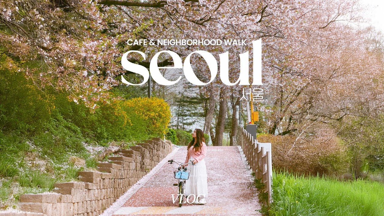 seoul vlog 🌸| spring in seoul, cherry blossom cafe, rent a bike