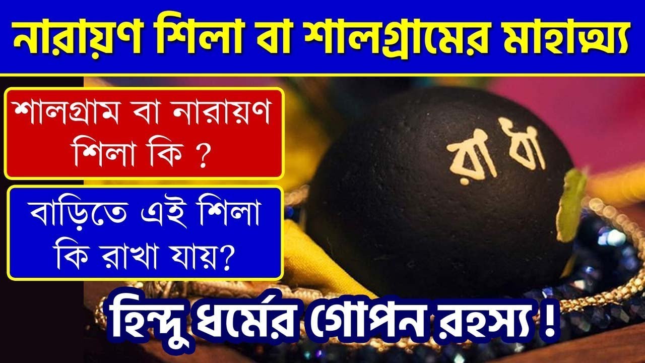 শালগ্রাম বা নারায়ণ শিলা কি ? বাড়িতে এই শিলা কি রাখা যায় ? Shaligram Shila or Narayan Shila - Vishnu