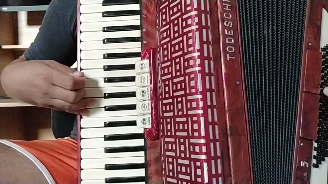 Batidão de Sanfona Pinga ni Mim Vídeo Aula