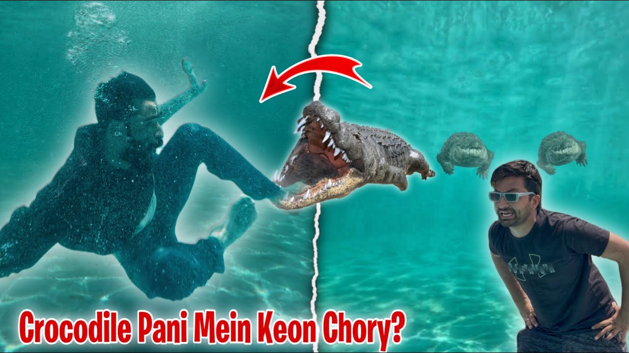 Crocodile🐊 Pani Mein Keon Chory??😲 | Comedy Video | Crazy TV