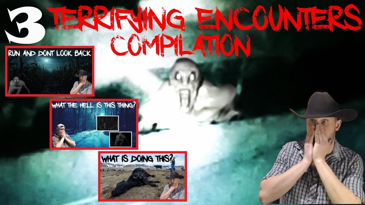 COMPILATION of 3  TERRIFYING encounters with The Rake / Crawler type creatures (previous stories)