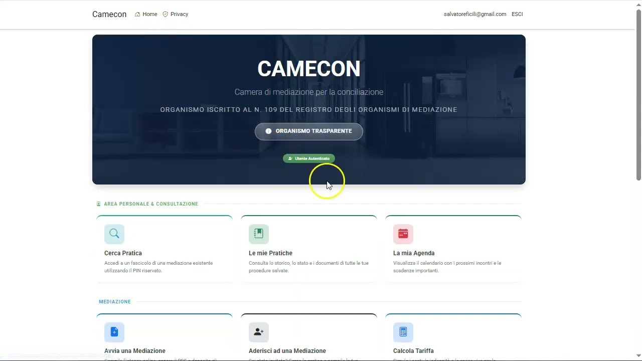 Panoramica del sito Camecon.it