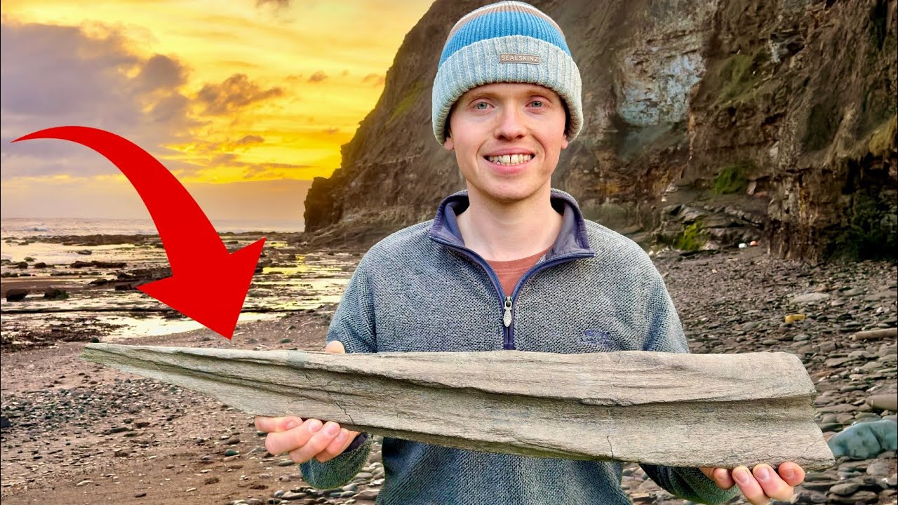 Гигантские челюсти ихтиозавра! Вот наши недавние находки в ходе поиска окаменелостей.