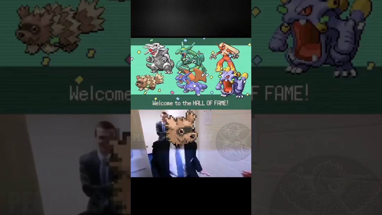 HM SLAVE BE LIKE ON ELITE 4 - GEN 3 POKEMON