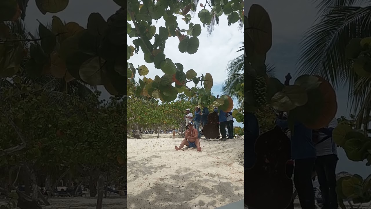 Hotel SOL RIO DE LUNA Y MARES Hotelband 🤣🤣🤣🤣🇨🇺🤘😎