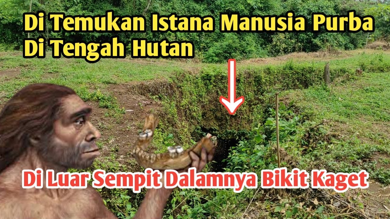 Lagi Viral Penemuan Istana Manusia Purba Di Tengah Hutan