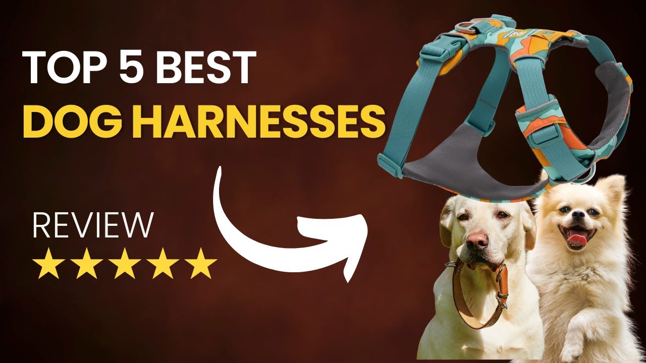 Top 5 Best Dog Harness on Amazon 2026