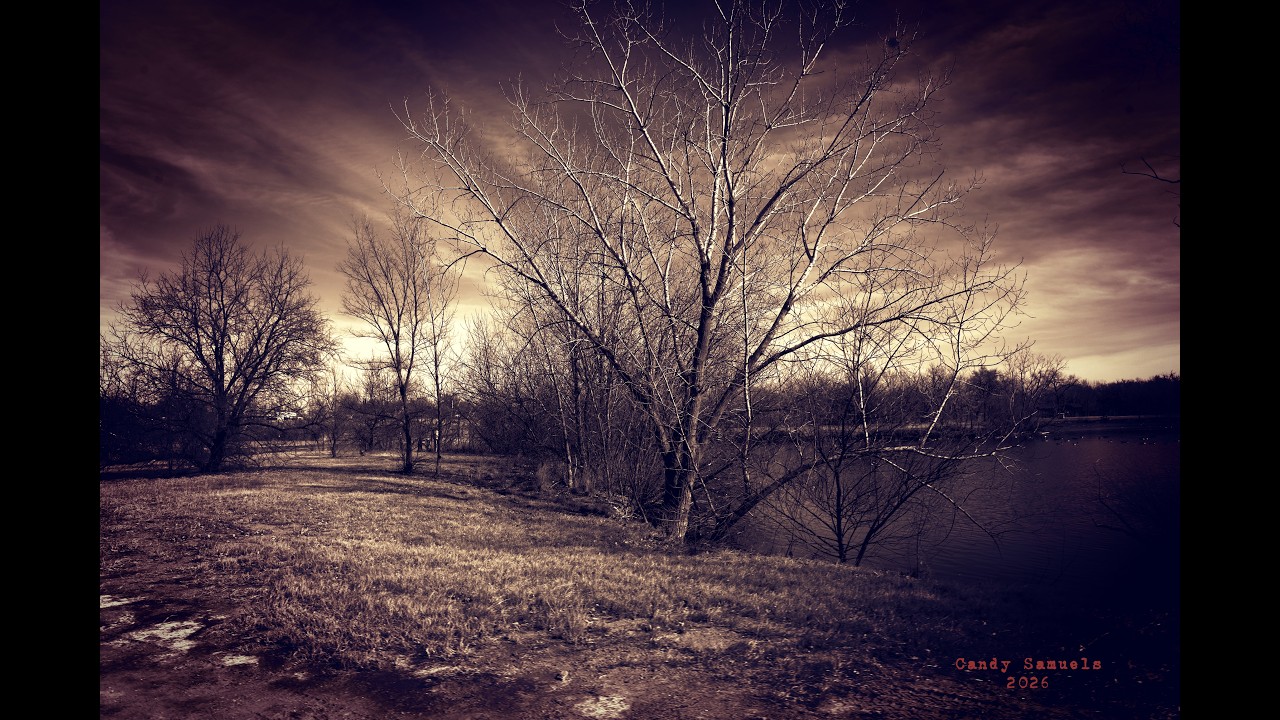 Kansas in sepia
