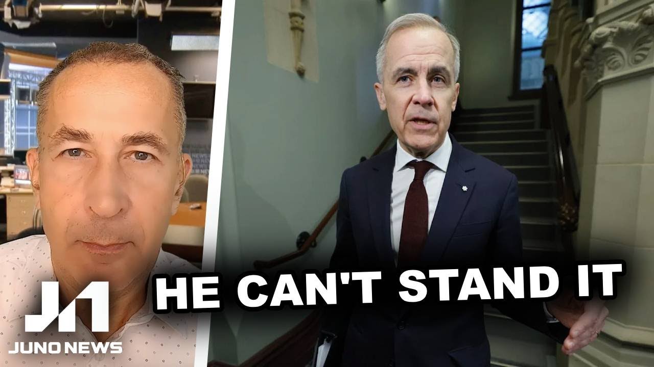 Liberals LOSE IT over Conservative MP's White House visit