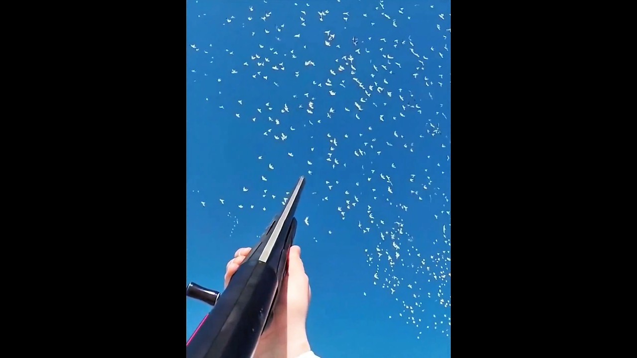 Прыжок на насест снежного гуся в Арканзасе, взрыв в небе | #birdhunting #huntingseason #охота