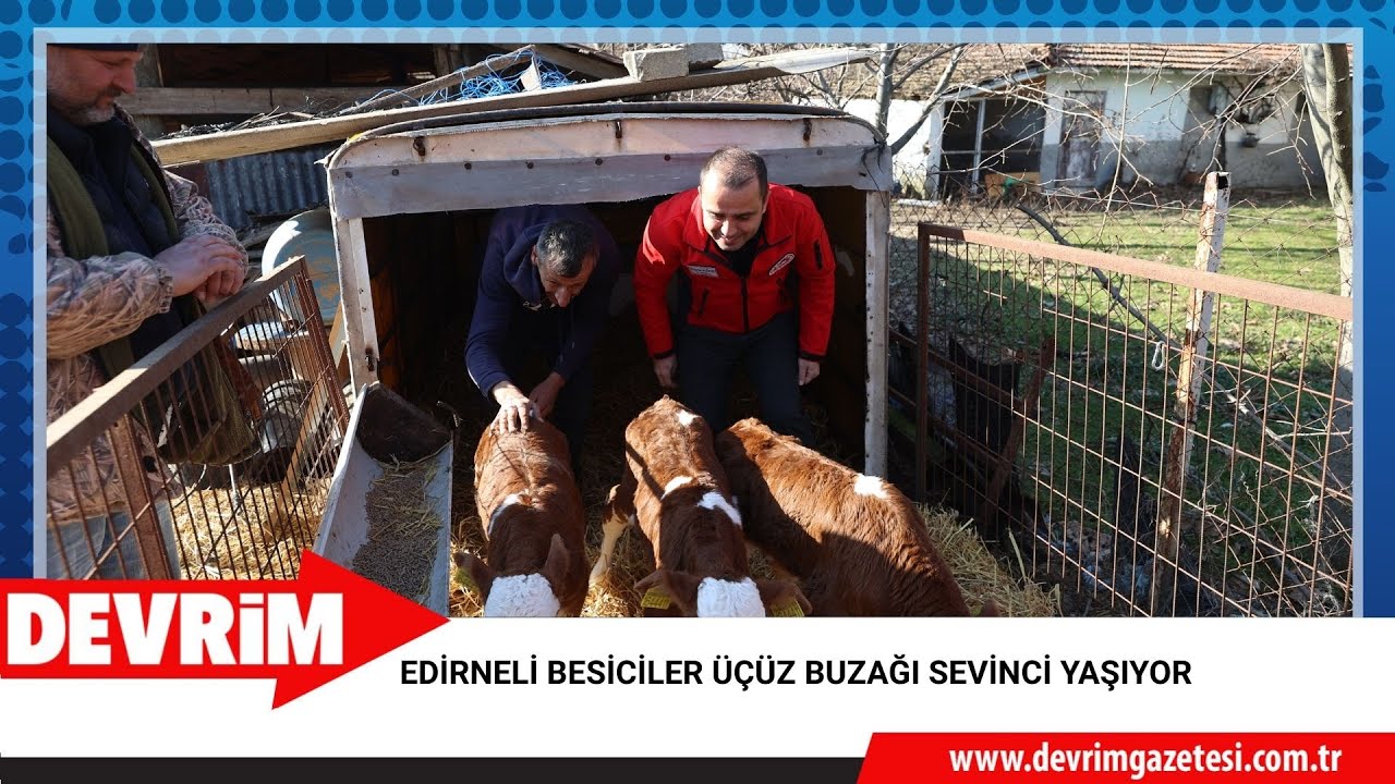 EDİRNELİ BESİCİLER ÜÇÜZ BUZAĞI SEVİNCİ YAŞIYOR