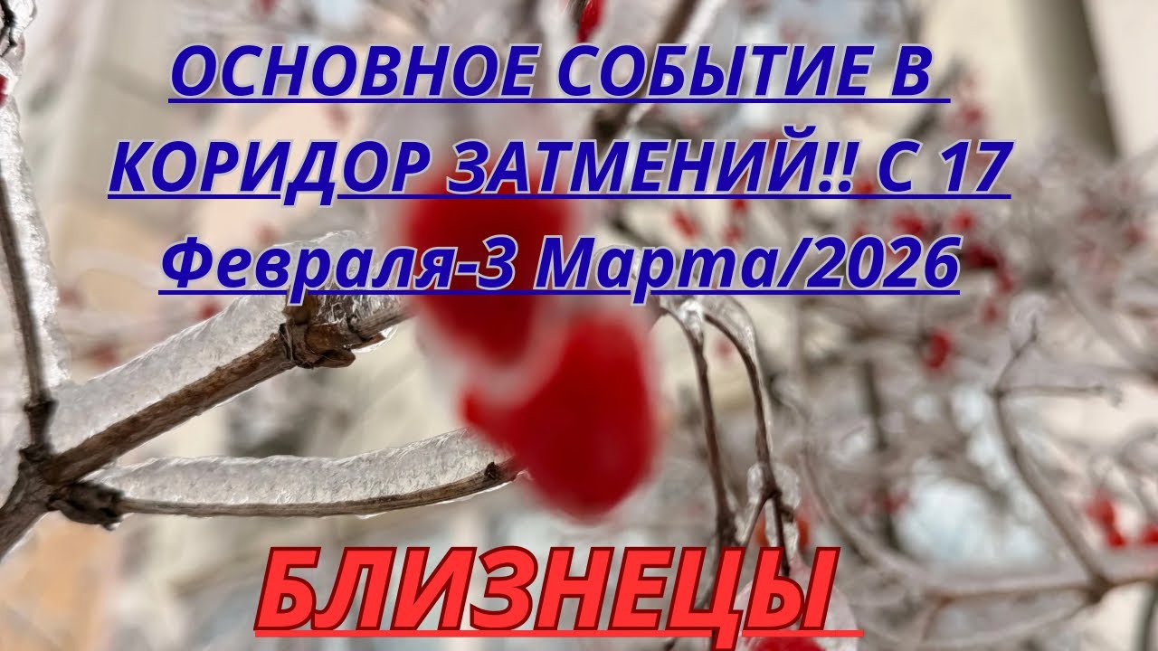 БЛИЗНЕЦЫ ♊️ ОСНОВНОЕ СОБЫТИЕ КОРИДОРА ЗАТМЕНИЙ С 17 Февраля-3 Марта от Alisa Belial 
