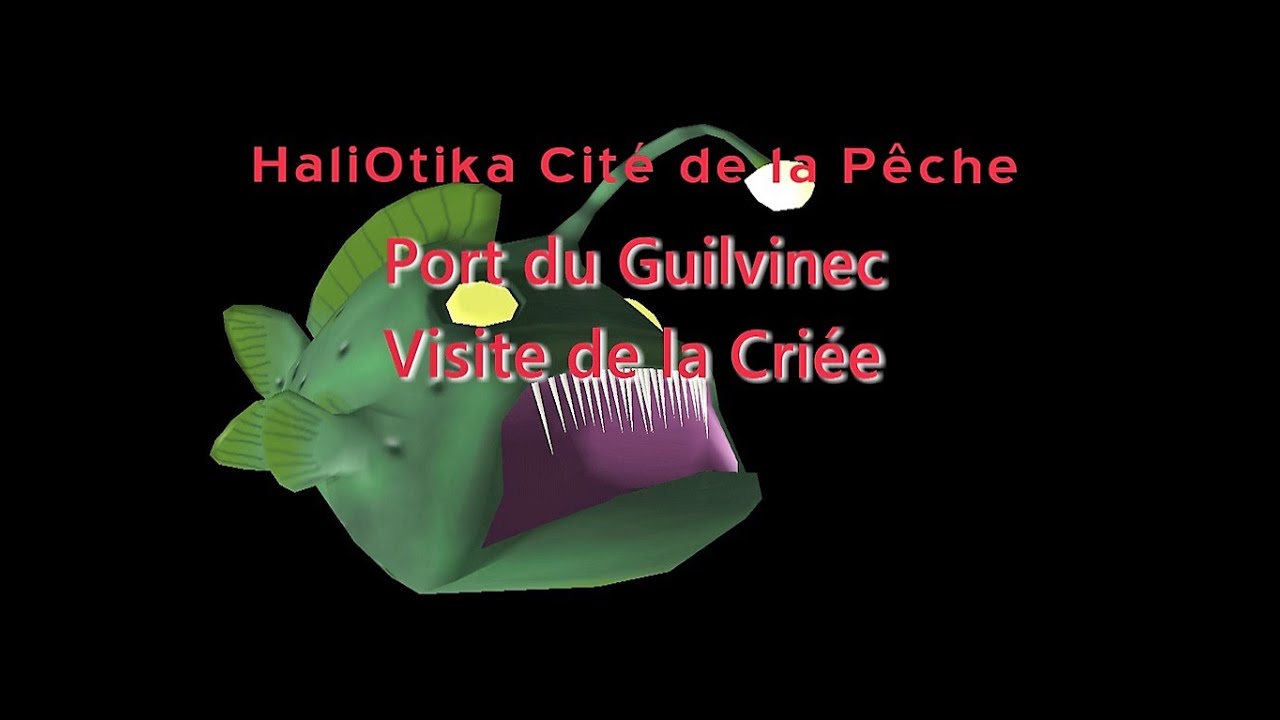 Visite de la Criée du Guilvinec