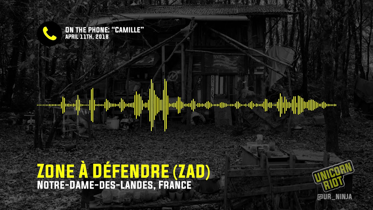 Zone &Agrave; D&eacute;fendre Resists Eviction Update #1 - Interview w/ a Zadiste