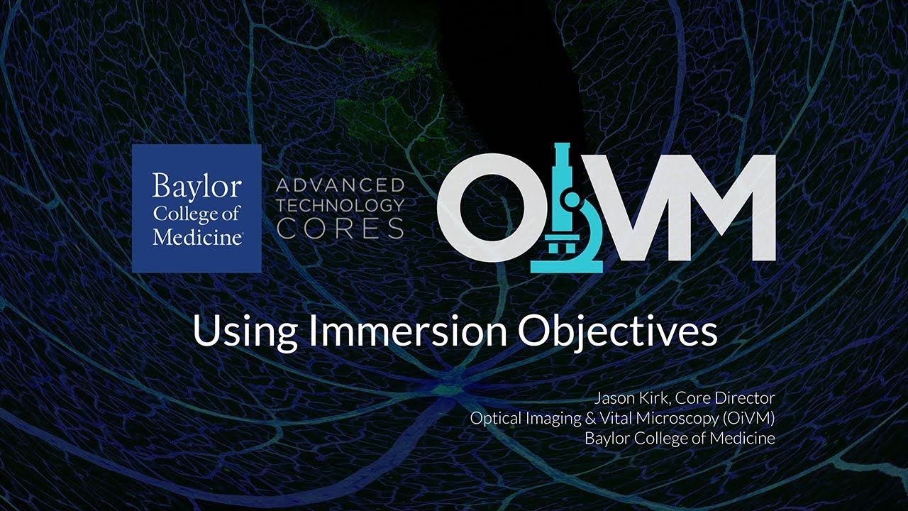 Using Immersion Objectives