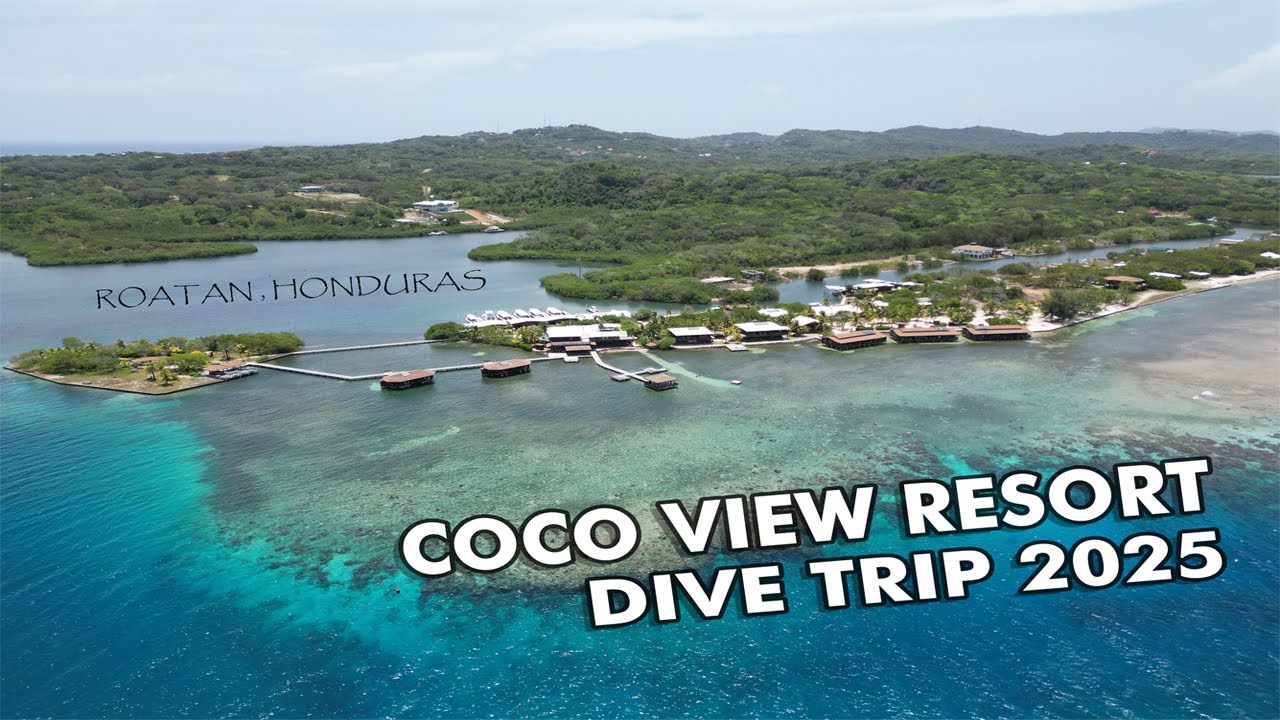 Diving CoCo View Resort - Roatan, Honduras