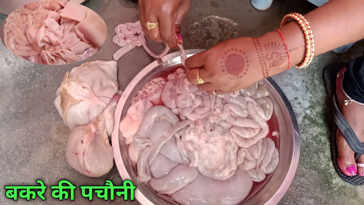 बकरे की पचौनी साफ करने का तरीका। Bakra pachauni। gote intestine cleaning skill / Astha ki