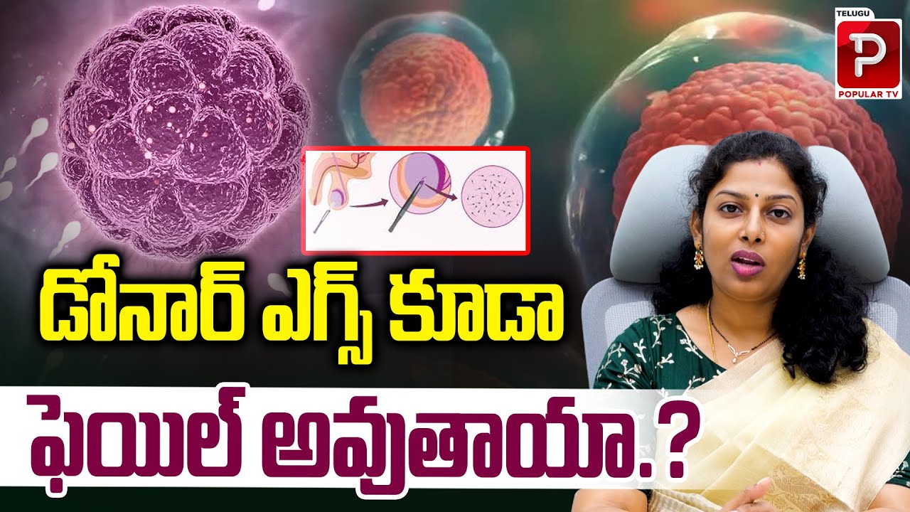 Failure Rates of Donor Eggs and Sperm Explained Dr BIJI B PILLAI | Ferty 9 Fertility | Popular TV