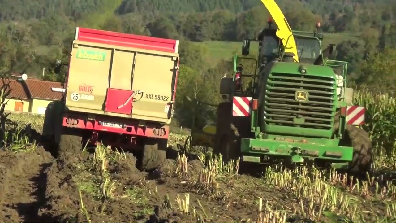 Ensilage  mais 2024 jeudi