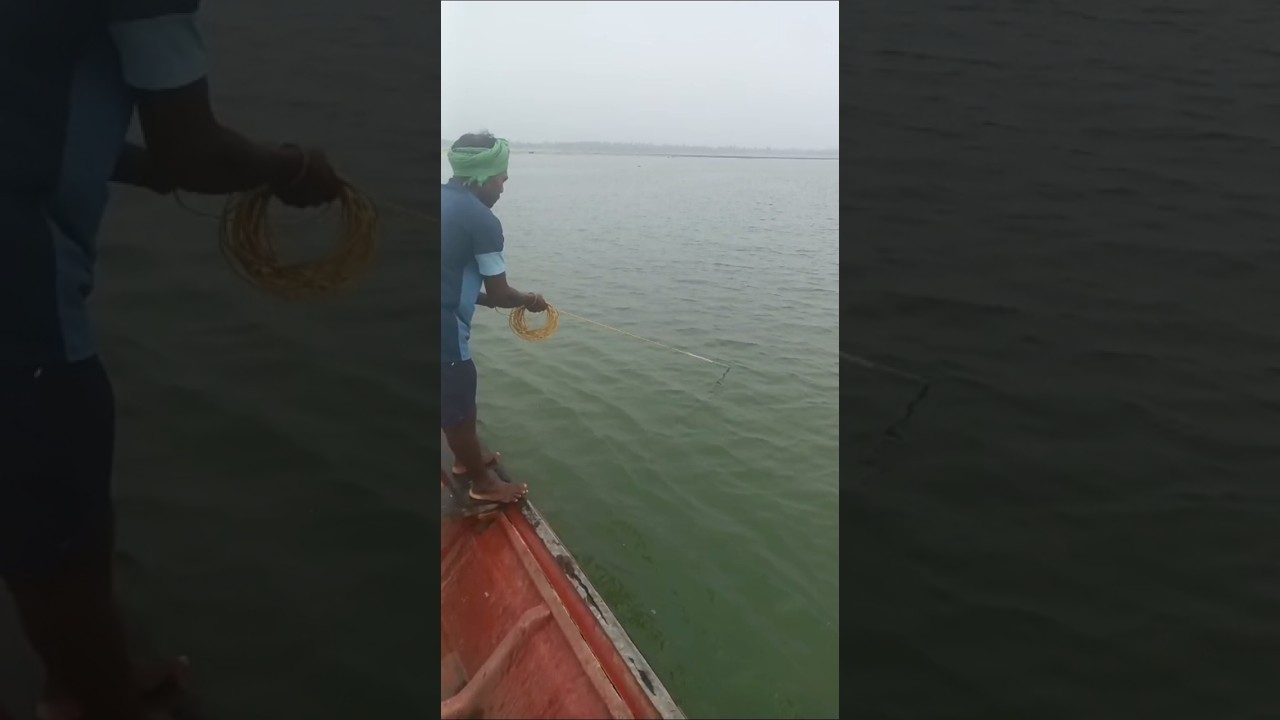 Amazing Hand Net Fishing Video #vairalshort #fishing
