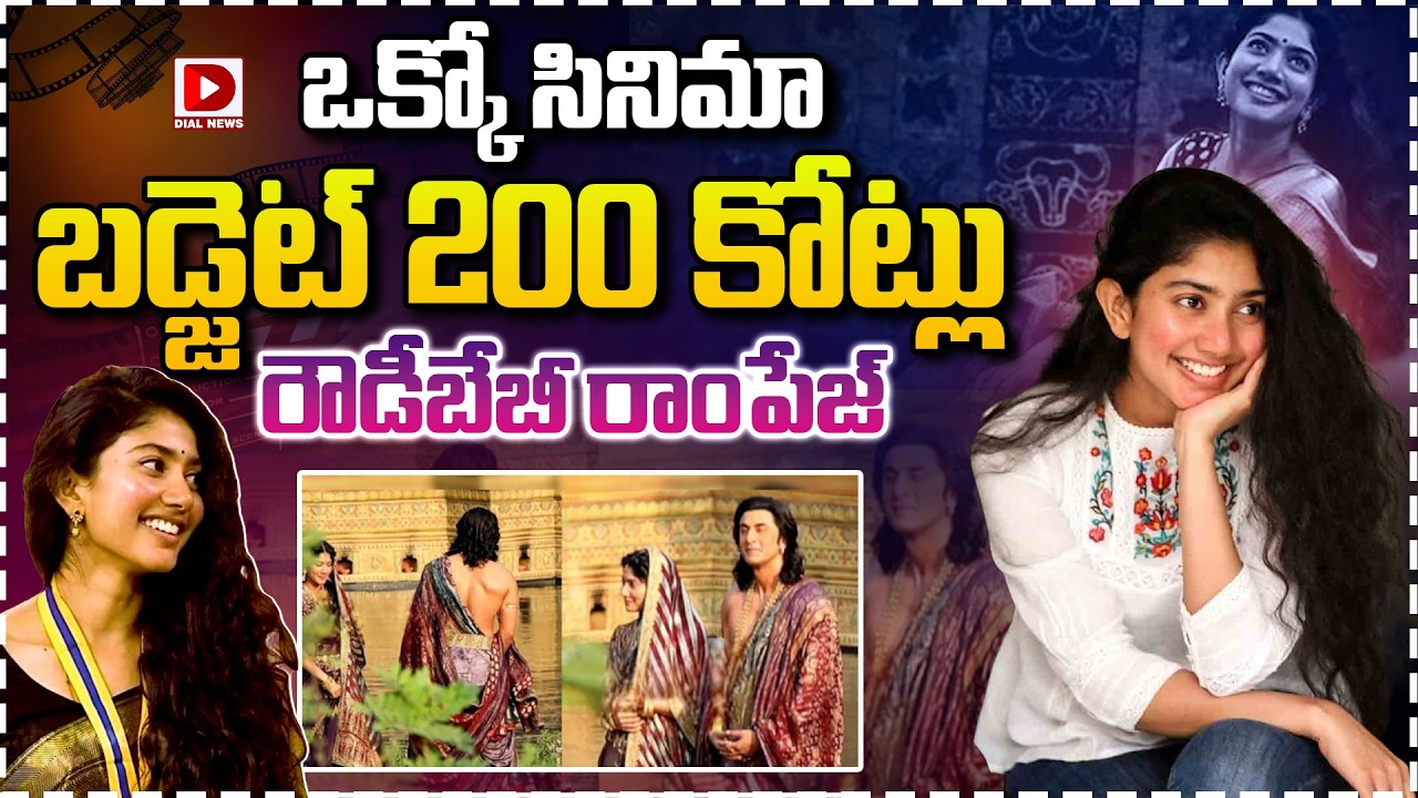 ఒక్కో సినిమా బడ్జెట్ 200 కోట్లు...రౌడీబేబీ రాంపేజ్| Sai Pallavi Remuneration | Dial Telugu
