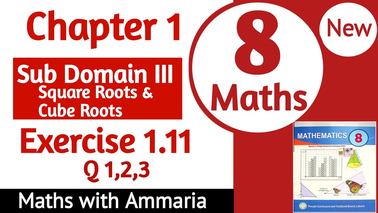 Class 8 Math Chapter 1 Exercise 1.11 Q1 to Q3 solved | 8th Class Math Ex 1.11 solution | New Book